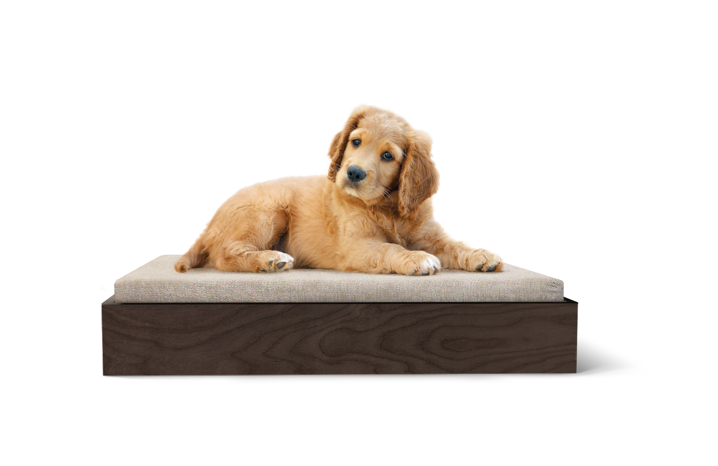 The PupBed