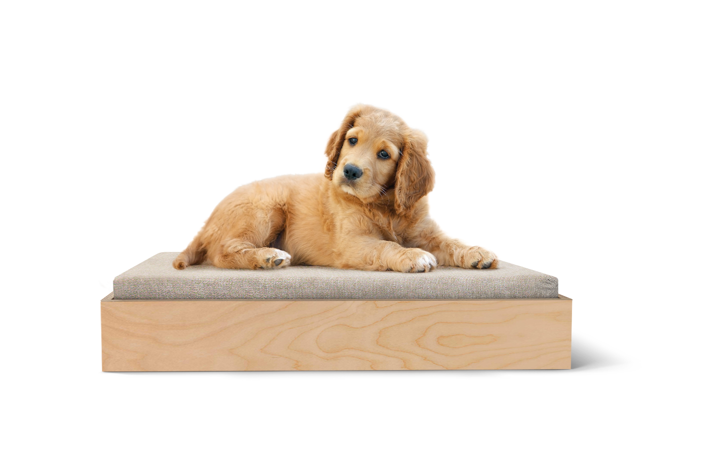 The PupBed