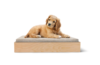 The PupBed